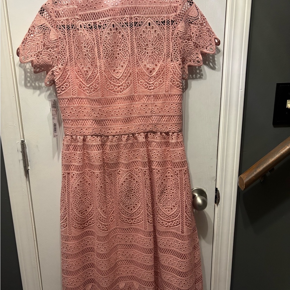 Antonio Melani. NWT Elegant Pink Sand Lace Dress. Size 4